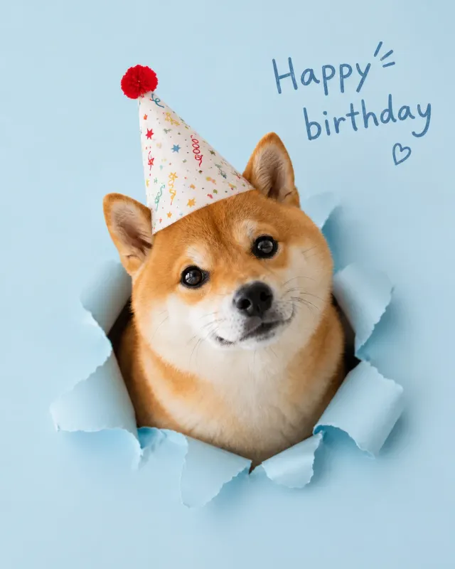 穴からのぞく誕生日の主役｜華やかなパーティー演出とかわいいお祝いスタイルの、あたたかいペット誕生日ポートレート