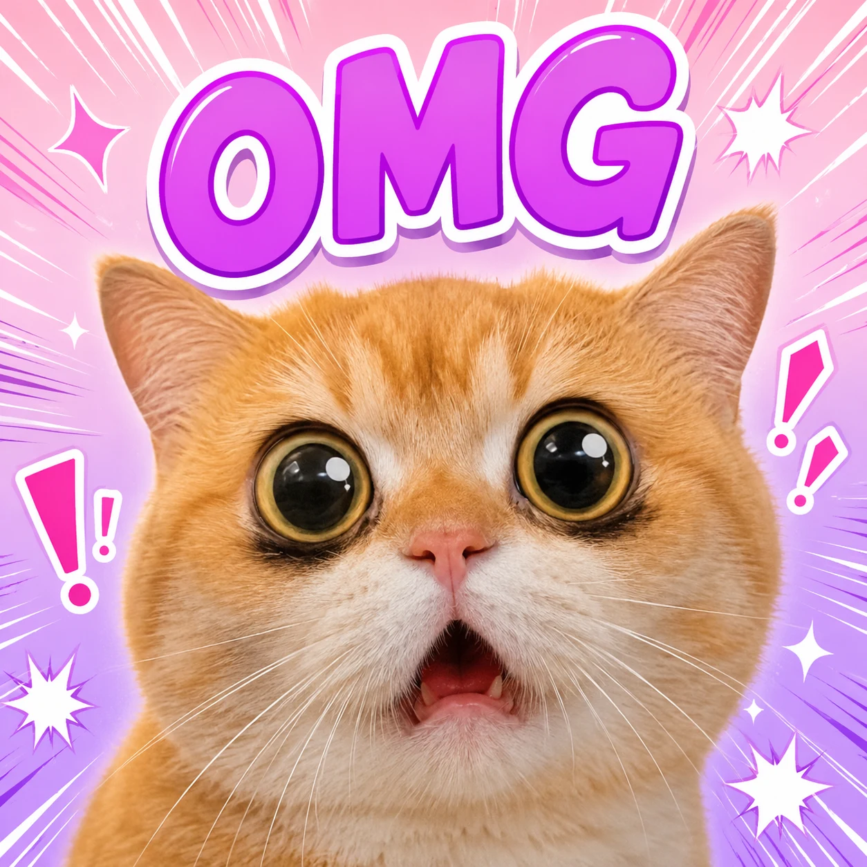 OMG shocked cat sticker with a dramatic reaction-face look