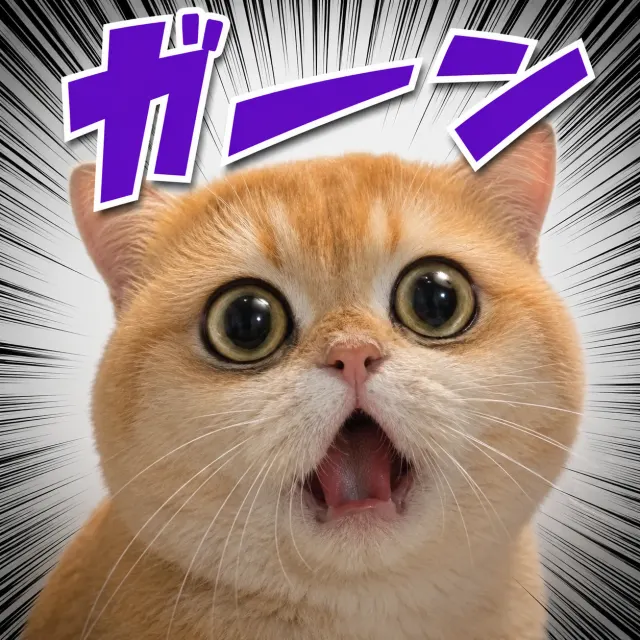 驚愕猫スタンプ｜表情豊かなクローズアップの、面白いチャットスタンプやSNSシェア向けペットリアクションミーム